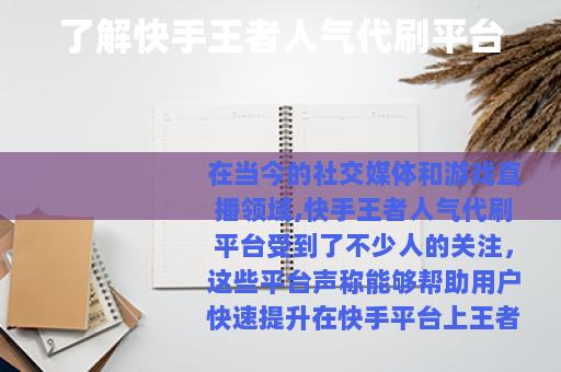 了解快手王者人气代刷平台