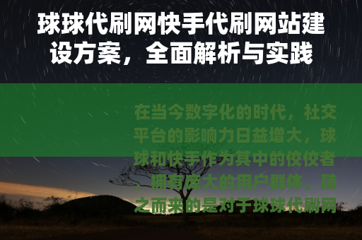球球代刷网快手代刷网站建设方案，全面解析与实践