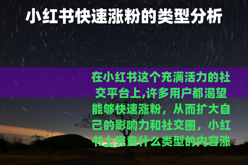 小红书快速涨粉的类型分析