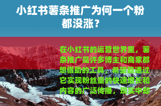 小红书薯条推广为何一个粉都没涨？