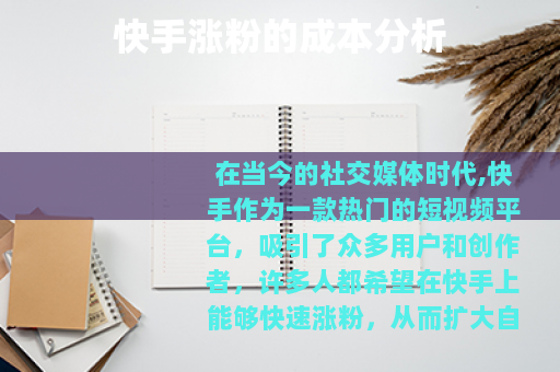 快手涨粉的成本分析