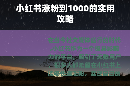小红书涨粉到1000的实用攻略