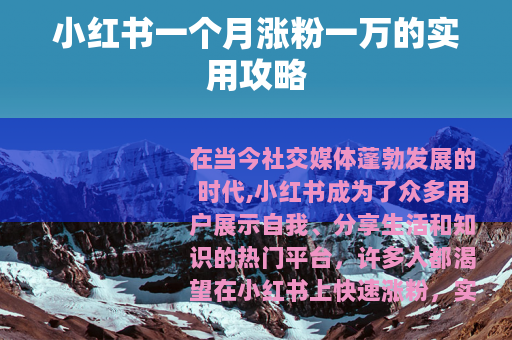 小红书一个月涨粉一万的实用攻略