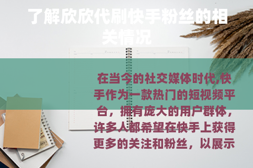 了解欣欣代刷快手粉丝的相关情况