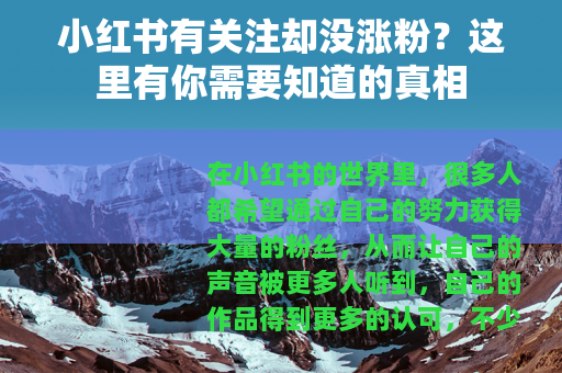 小红书有关注却没涨粉？这里有你需要知道的真相