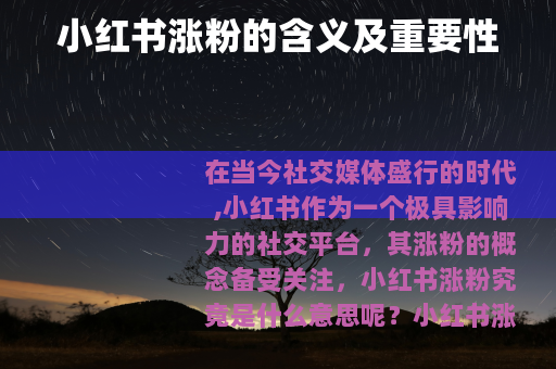 小红书涨粉的含义及重要性