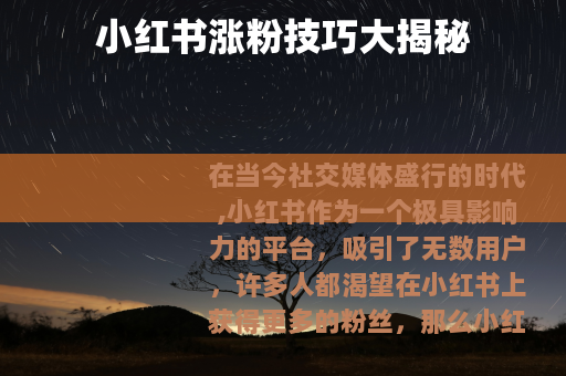 小红书涨粉技巧大揭秘