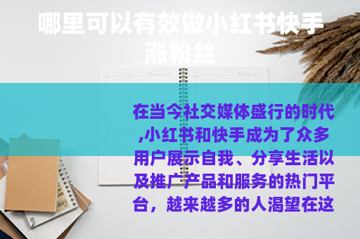 哪里可以有效做小红书快手涨粉丝