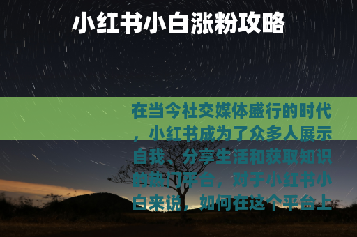 小红书小白涨粉攻略