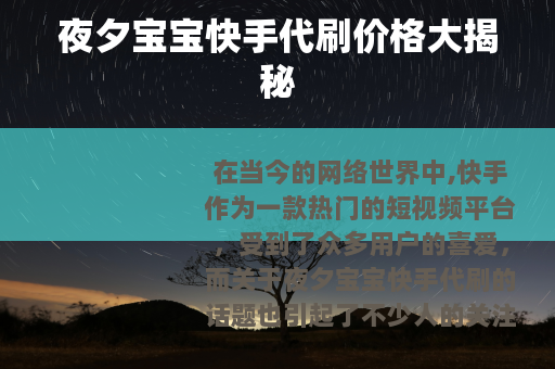 夜夕宝宝快手代刷价格大揭秘