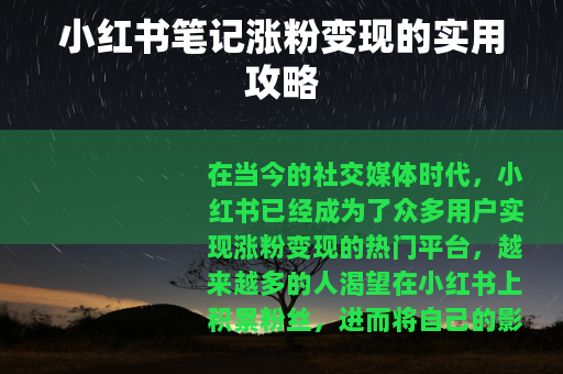 小红书笔记涨粉变现的实用攻略