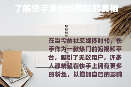 了解快手涨粉丝网站的真相