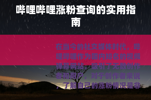 哔哩哔哩涨粉查询的实用指南