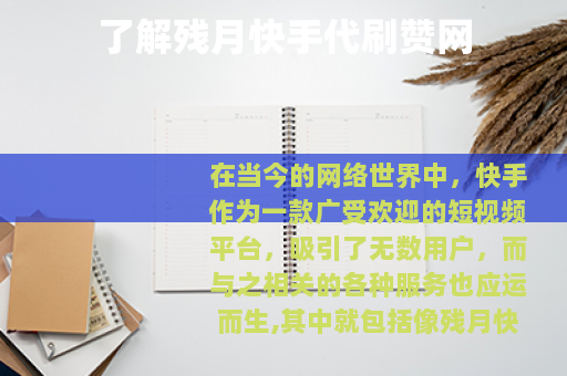 了解残月快手代刷赞网