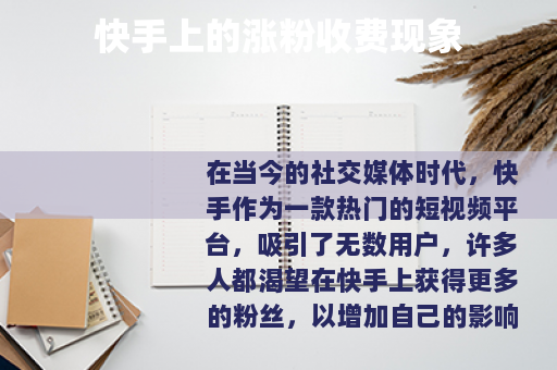 快手上的涨粉收费现象