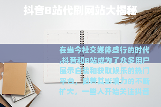 抖音B站代刷网站大揭秘