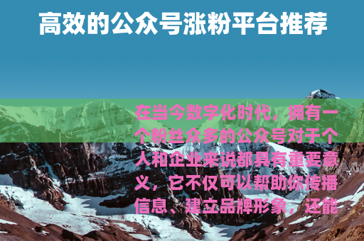 高效的公众号涨粉平台推荐