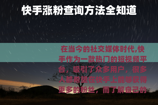 快手涨粉查询方法全知道