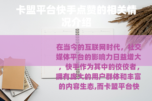 卡盟平台快手点赞的相关情况介绍