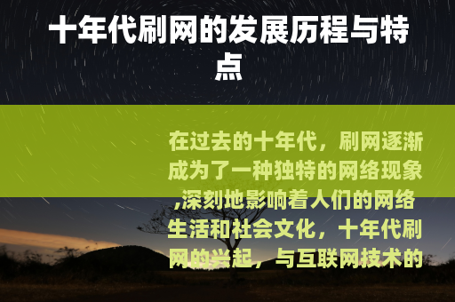 十年代刷网的发展历程与特点