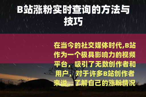 B站涨粉实时查询的方法与技巧