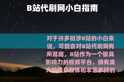 B站代刷网小白指南