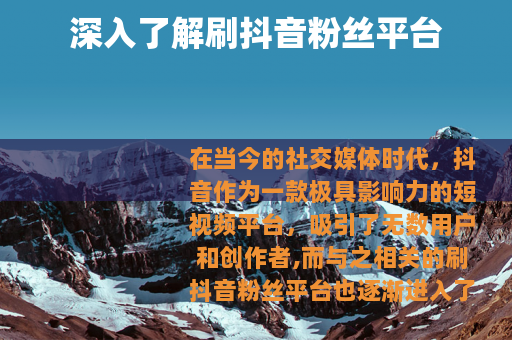 深入了解刷抖音粉丝平台