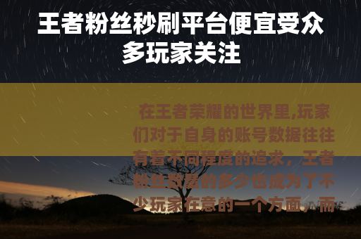 王者粉丝秒刷平台便宜受众多玩家关注