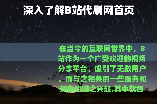 深入了解B站代刷网首页