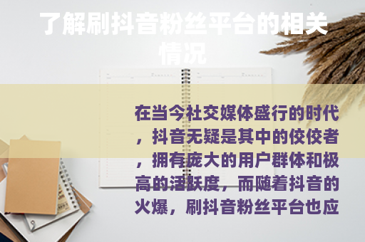 了解刷抖音粉丝平台的相关情况