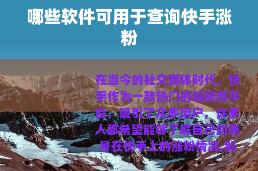 哪些软件可用于查询快手涨粉