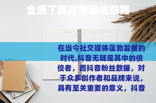 全面了解抖音粉丝数据