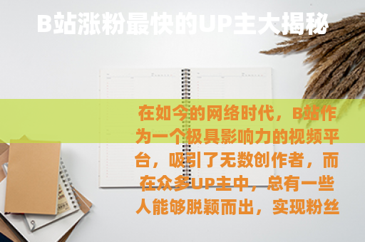 B站涨粉最快的UP主大揭秘