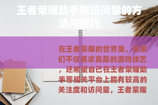 王者荣耀助手刷访问量的方法与技巧