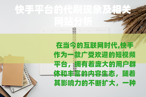 快手平台的代刷现象及相关网站分析