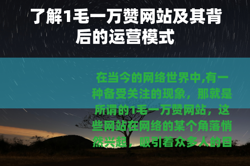 了解1毛一万赞网站及其背后的运营模式