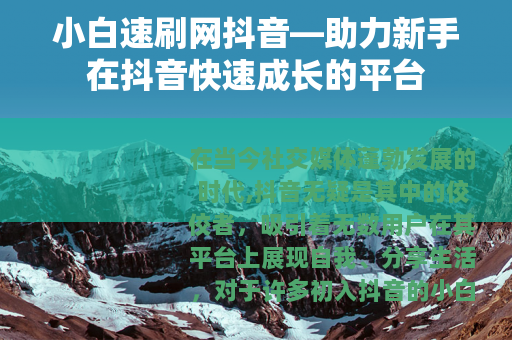 小白速刷网抖音—助力新手在抖音快速成长的平台