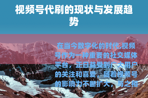 视频号代刷的现状与发展趋势