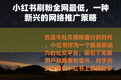 小红书刷粉全网最低，一种新兴的网络推广策略