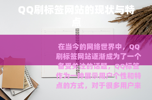 QQ刷标签网站的现状与特点
