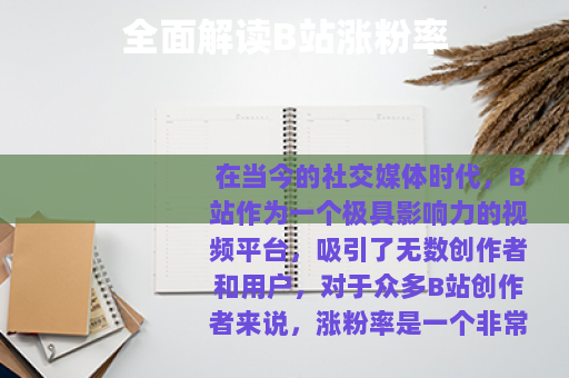 全面解读B站涨粉率