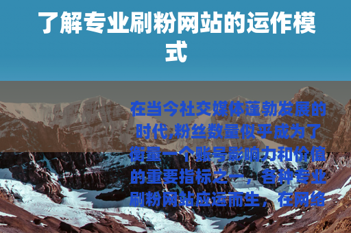 了解专业刷粉网站的运作模式