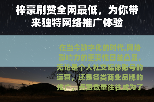 梓豪刷赞全网最低，为你带来独特网络推广体验