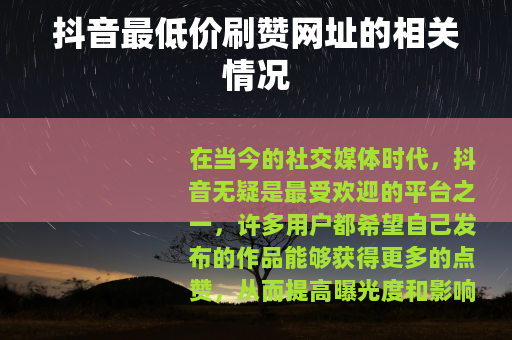 抖音最低价刷赞网址的相关情况
