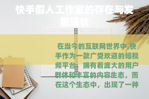 快手假人工作室的存在与发展现状