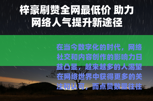 梓豪刷赞全网最低价 助力网络人气提升新途径