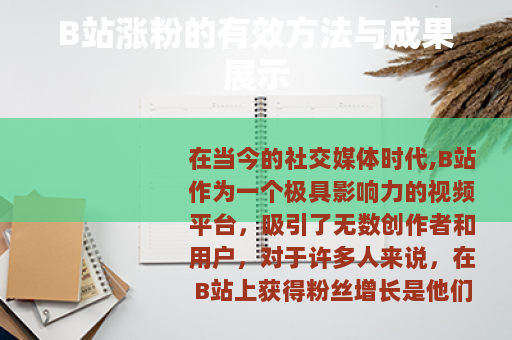 B站涨粉的有效方法与成果展示