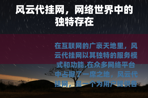 风云代挂网，网络世界中的独特存在