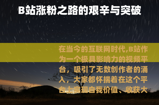 B站涨粉之路的艰辛与突破