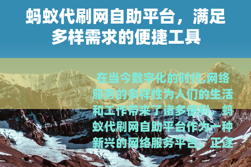 蚂蚁代刷网自助平台，满足多样需求的便捷工具